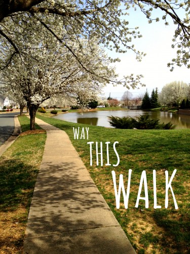 walk this way~