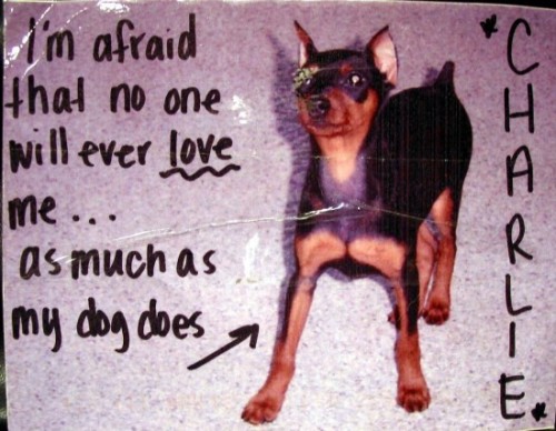 post secret dog